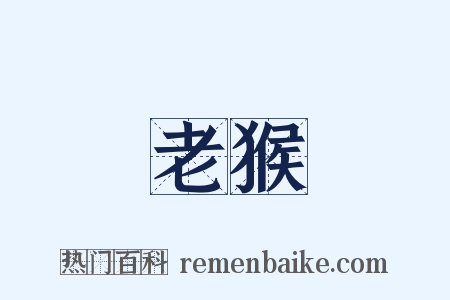 老猴是什么意思的图片